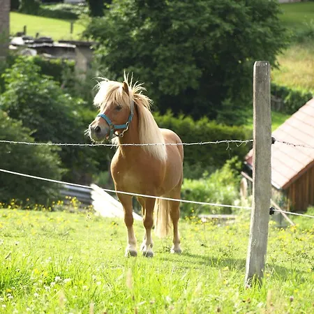 Ferienwohnung Sauerland 2 * Brilon
